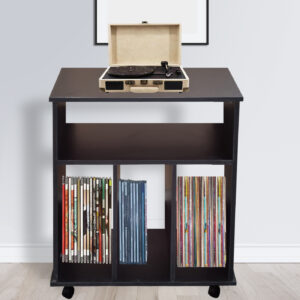 Vinyl-Schallplattenschrank - Aufbewahrung von Schallplatten - Plattenspielerschrank - schwarz - VDD World