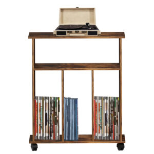 Lp-Schallplatten-Aufbewahrungsschrank – Lp-Vinyl-Schallplatten aufbewahren – Bücherregal – schwarz - VDD World