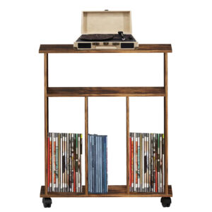 Records Schallplattenschrank - Aufbewahrung von Schallplatten - Bücherregal - braun - VDD World