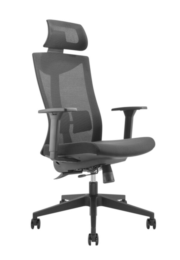   Bürostuhl Deluxe ergonomisch – Bürostuhl – stufenlos verstellbar – Netzgewebe