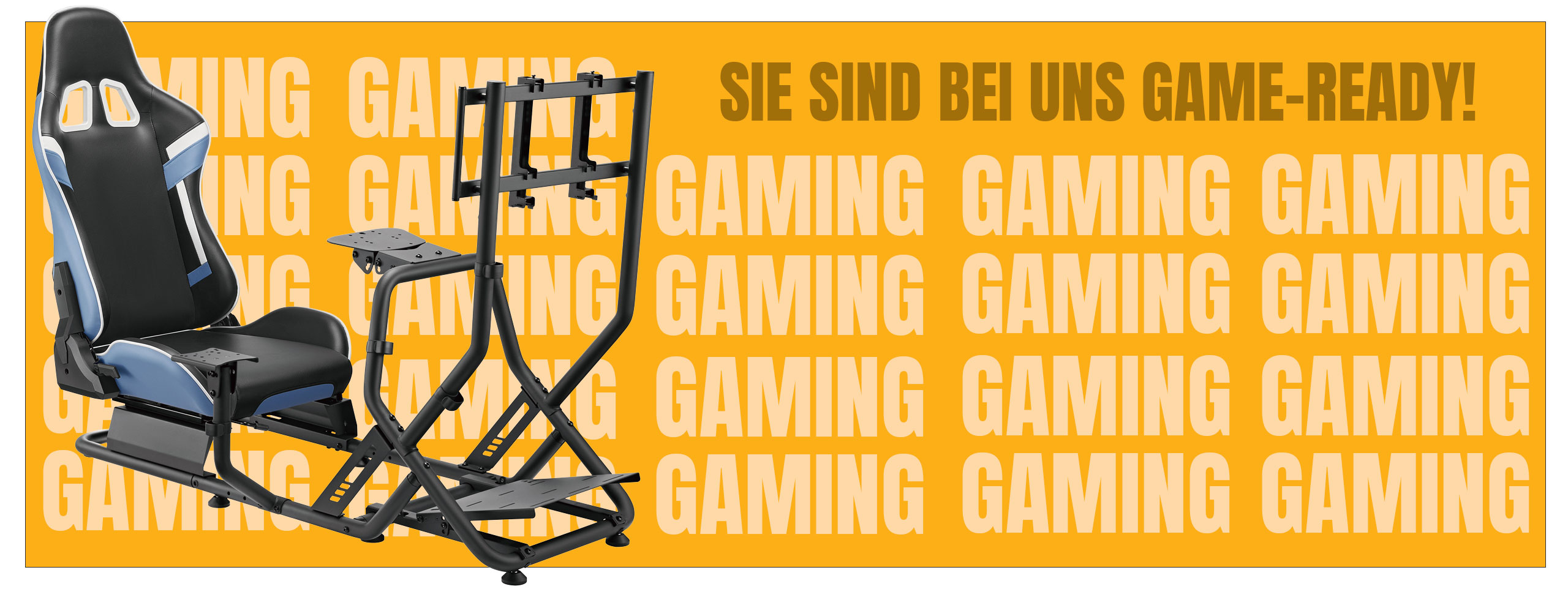 Simracing auf höchstem Niveau!