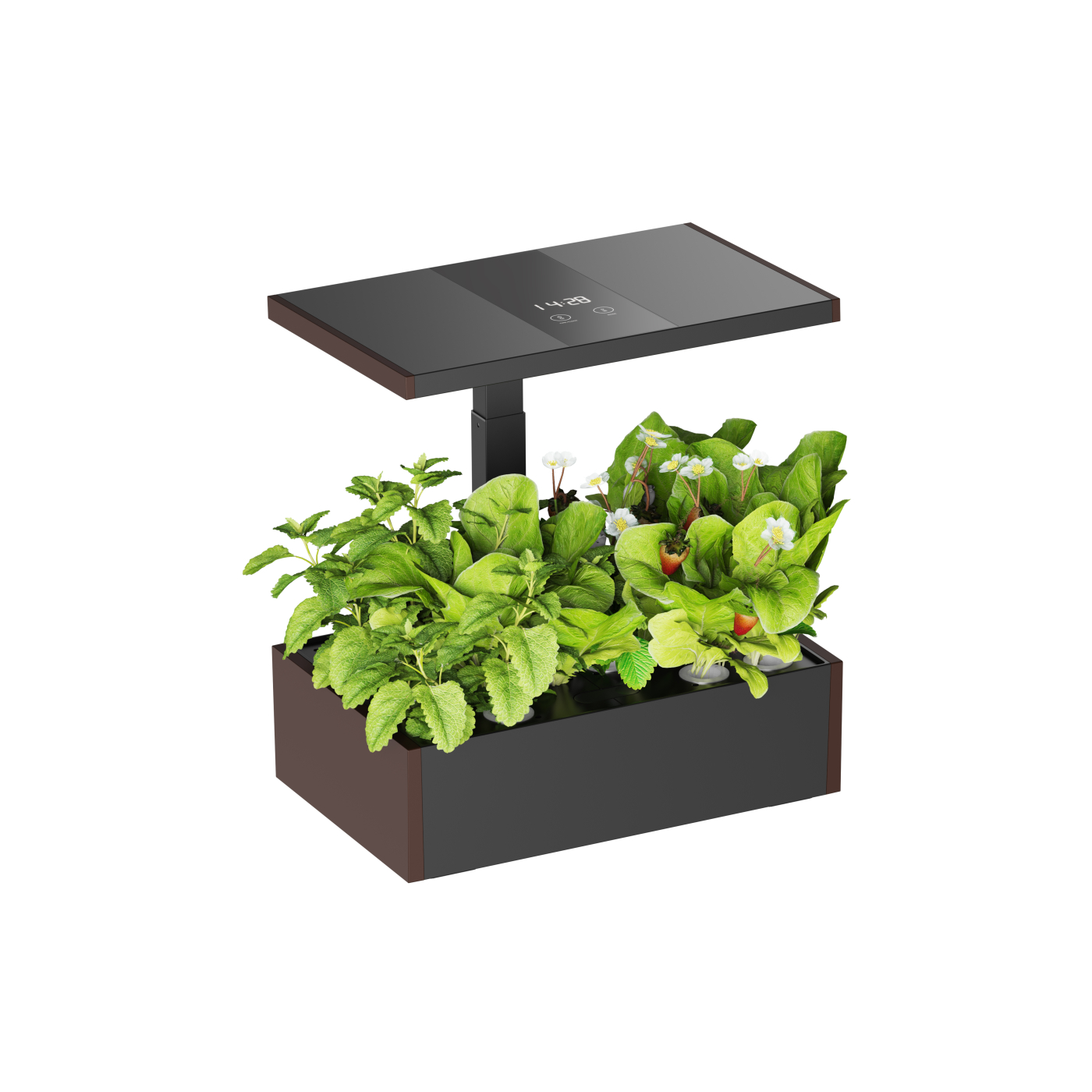VDD Growbox - Indoor Garten - Indoor Garten mit LED Beleuchtung - Indoor Gewächshaus - Schwarz - alternatives Bild